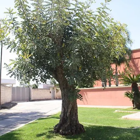 Apartmán Il Carrubo Del Salento *